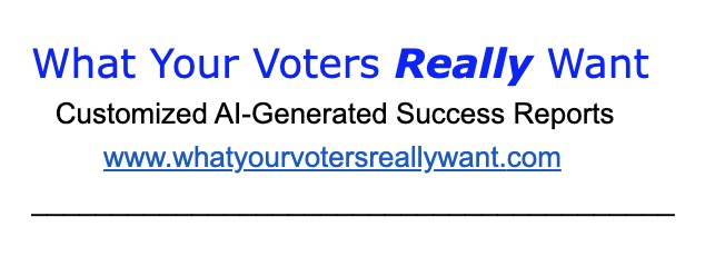 What Do Voters Really Want?